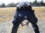 paulsmoneyshot.jpg